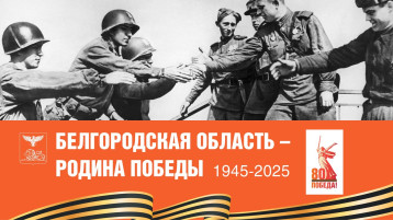 Встреча на Эльбе Встреча на Эльбе.